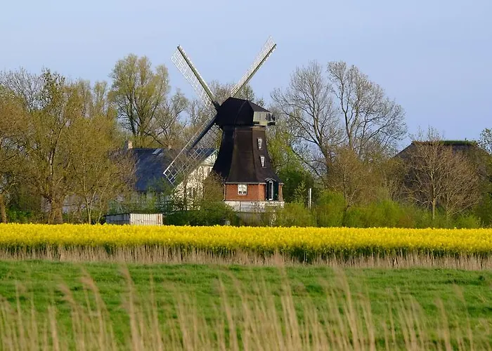 Windmühle Catharina *
